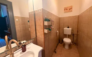 Apartament 5 camere  in vila - Zona Armeneasca - Poză 14