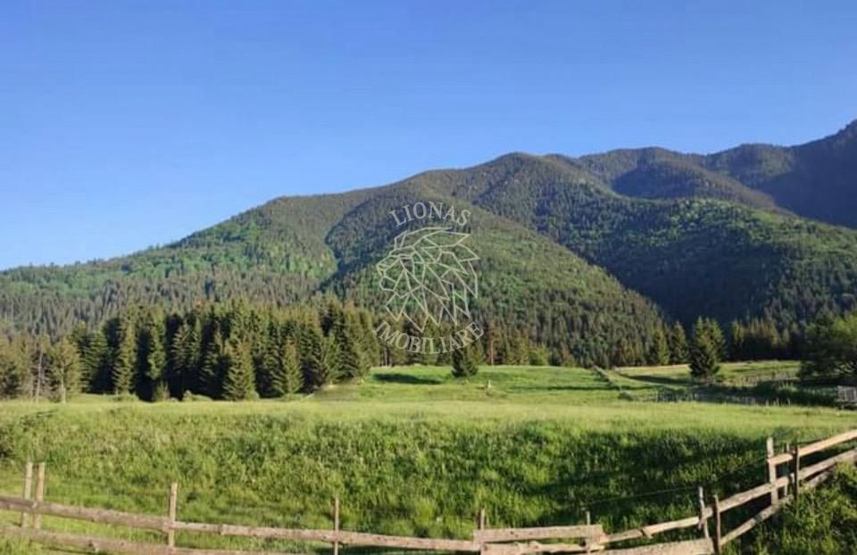 Teren PIATRA FANTANELE - 11.800 mp- ideal investitie, pensiune, hotel - Poză 2