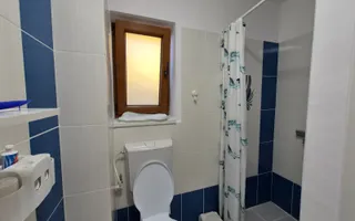 Casa Mobilata 4 camere Panouri Fotovoltaice Theodor Pallady - Poză 14