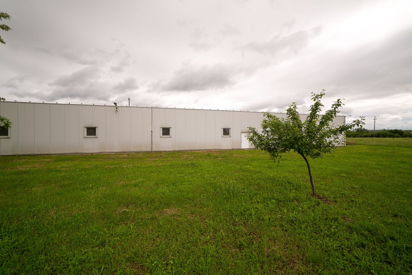 Hală industrială/producție în Lipova - Arad - Poză 6