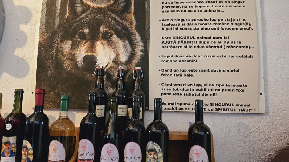 Vie Tradițională „Halta Lupilor” - Poză 14