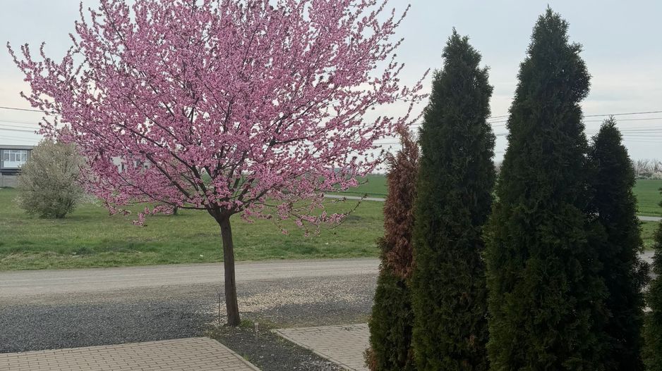 Casa la prima inchiriere cu 3 camere - Poză 24