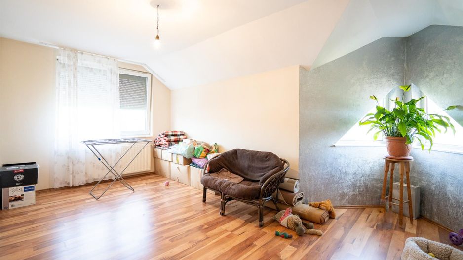 Casa de vanzare P+M Paleu - Poză 11