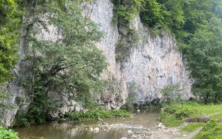 Teren pentru investiție turistică în Dâmbovicioara – Baranga | 4.500 mp | Front ~102 ml - Poză 18