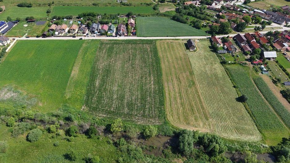 Teren intravilan 10.000 mp, Rotbav (Feldioara) - Poză 9