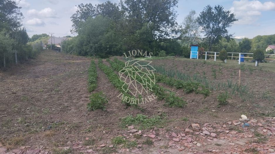 Teren 701 mp-ideal investitie, cabana, gradina-Slatinita - Poză 1