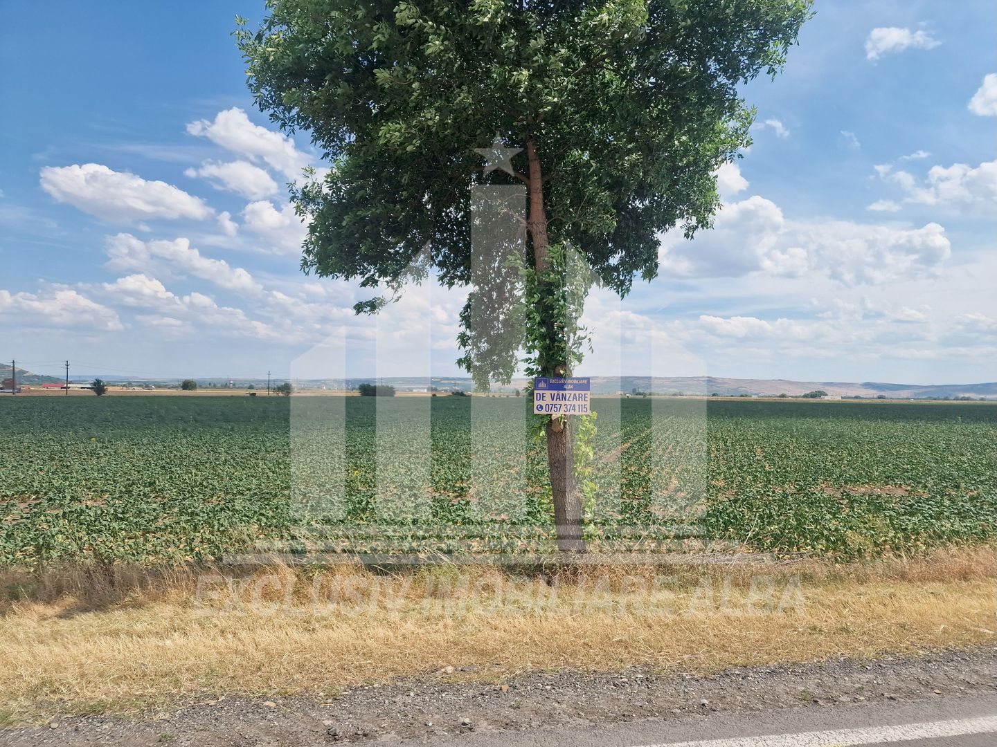 Teren agricol la sosea, pretabil si ptr constructii industriale - Poză 5