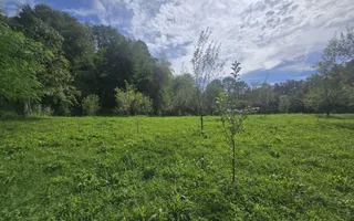 Oportunitate de investiție în Breaza – teren intravilan de 3.591 mp - Poză 13
