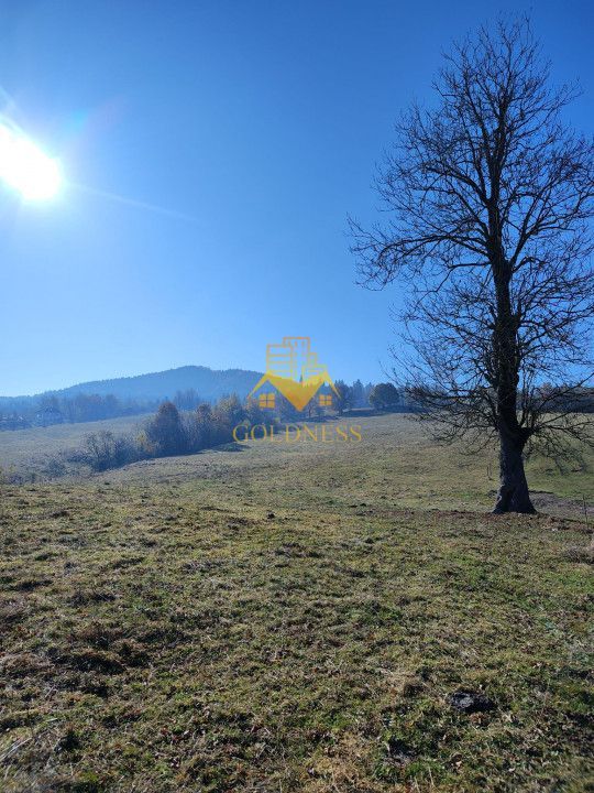 Teren de vanzare, intravilan, 16667 mp, Abrud, Jud. Alba - Poză 2