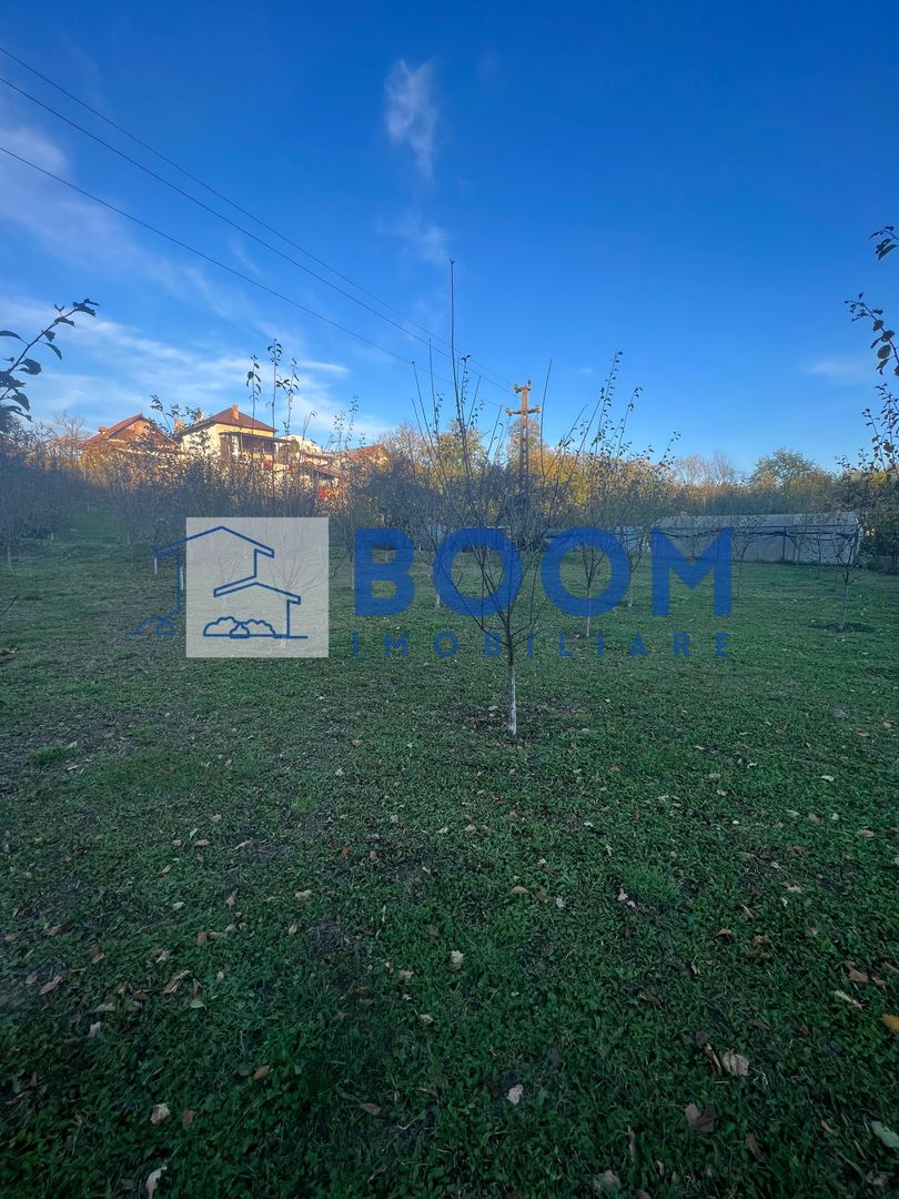 Casa cu livada | Bujoreni | 1550 mp - Poză 4