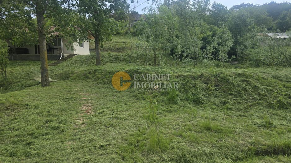 Oază de liniște și natură! Casă  cu 2 heleșteie și pârâu în curte – Probota - Poză 8