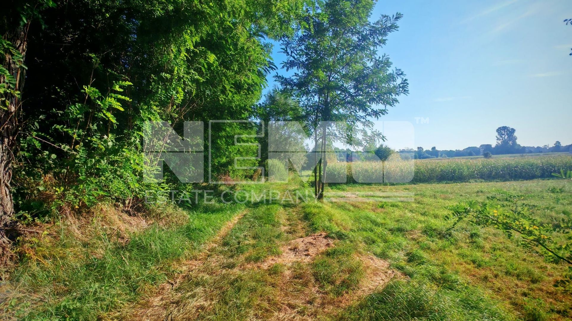 TEREN INTRAVILAN | FRATĂUȚII NOI | 1.1 HA - Poză 12