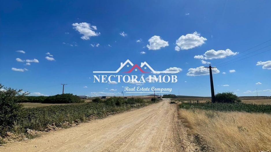 NECTORA IMOB-Teren Zona Osorhei, 5500 mp, 21 ml Front, 210 ml adancime - Poză 1