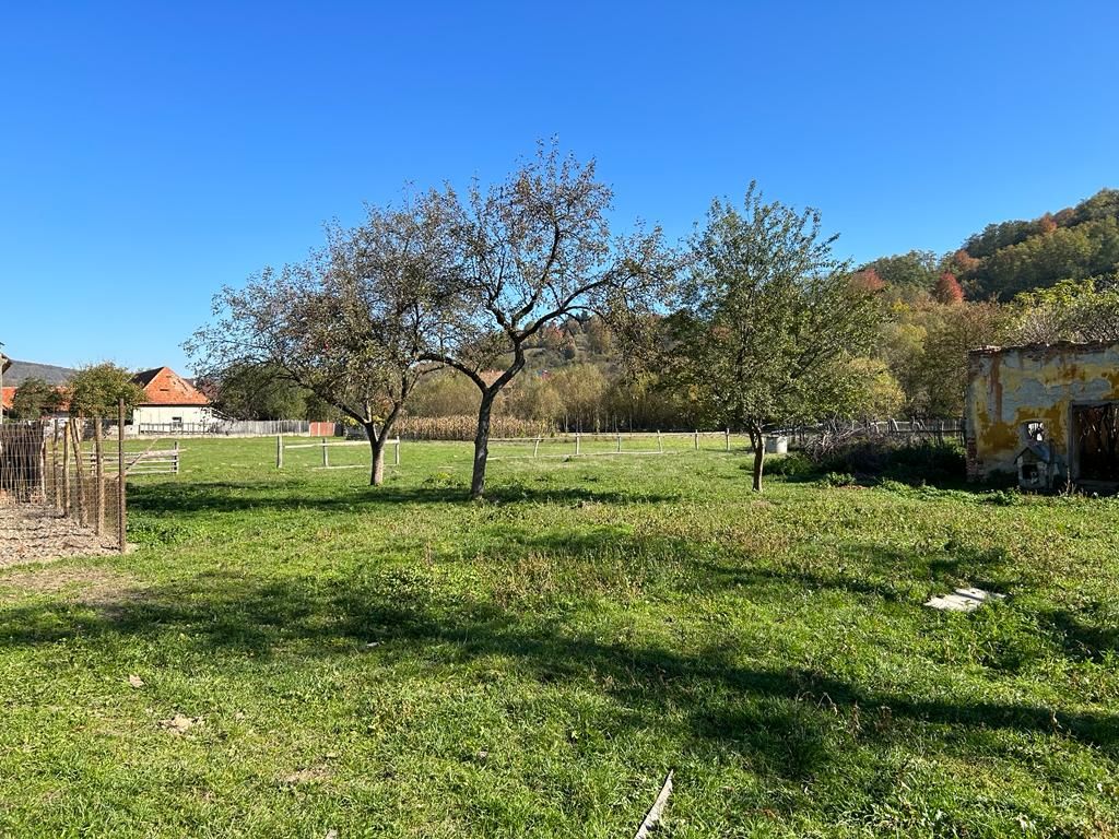 Teren intravilan Sinca Noua - Poză 5