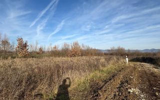 Teren de vânzare 8,9 ari + cotă parte drum – proiect duplex aprobat - Poză 1