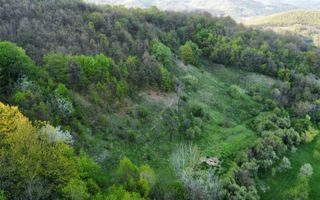 Vand teren in Poiana Ampoiului comuna Metes jud. Alba - Poză 1
