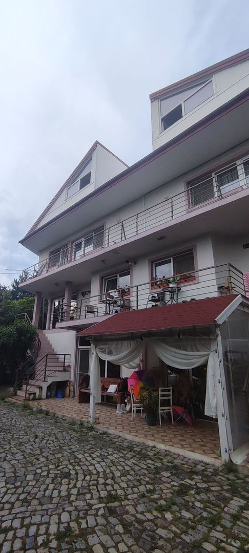 Casă/ Vila, 2008, 700mp, 1000mp D(P) + 2 + Pod - Poză 4