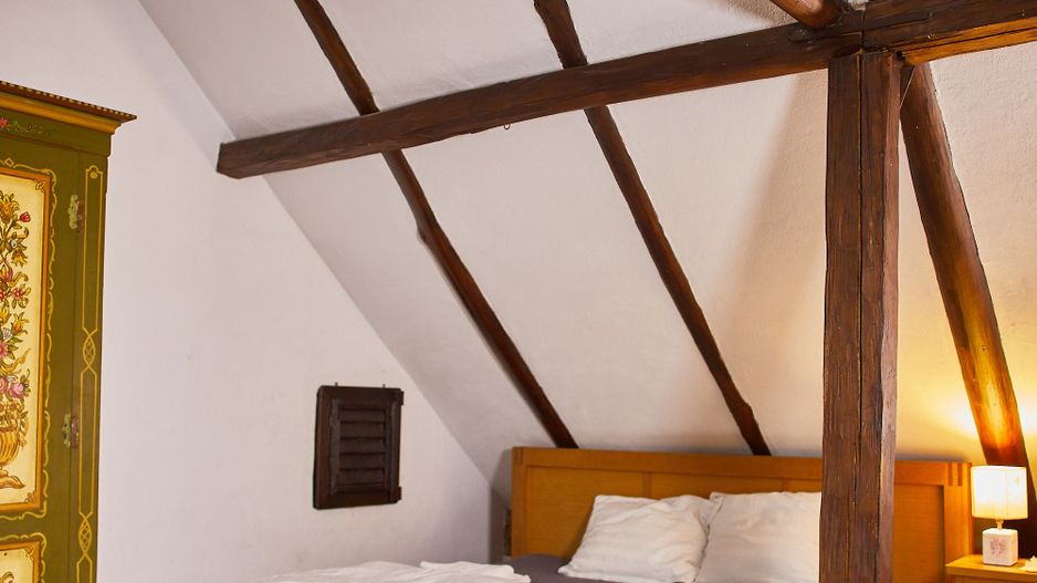 CASA THEA | INVESTIȚIE ÎN TURISM, GASTRONOMIE ȘI EXPERIENȚE | SOCOLARI - Poză 27