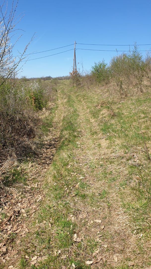 Teren cu panoramă fabuloasă, 10.059 mp, Roșia. 19.000 EUR. Comision 0 - Poză 4