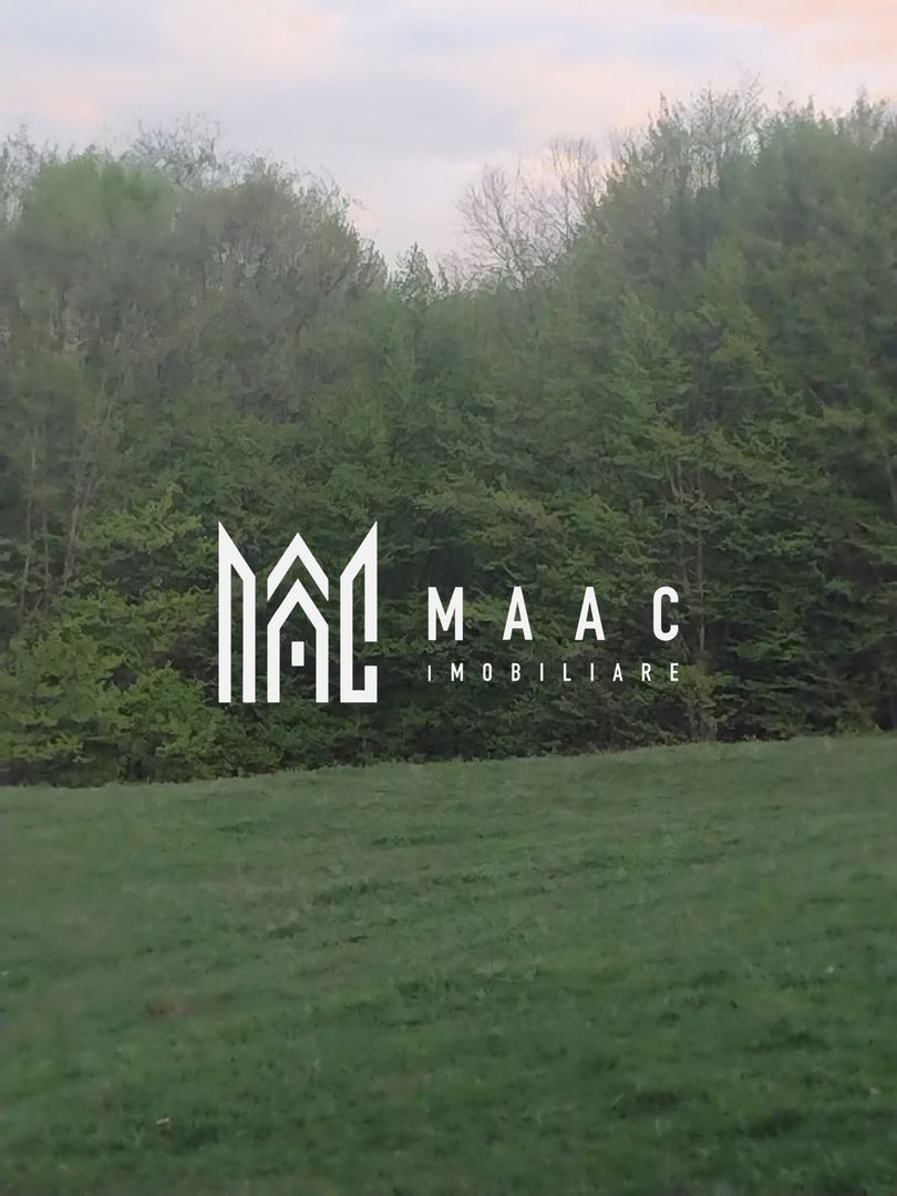 Casa Vantului si 8000 metri patrati in Abrud - Poză 9