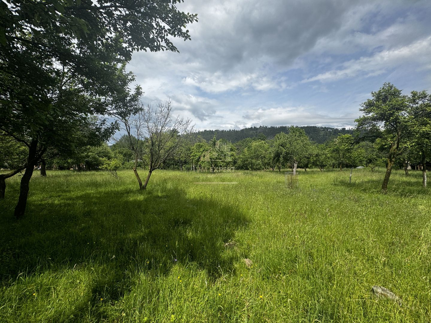 TEREN INTRAVILAN 4600 MP, VOINESTI, LERESTI, ARGEȘ - Poză 10