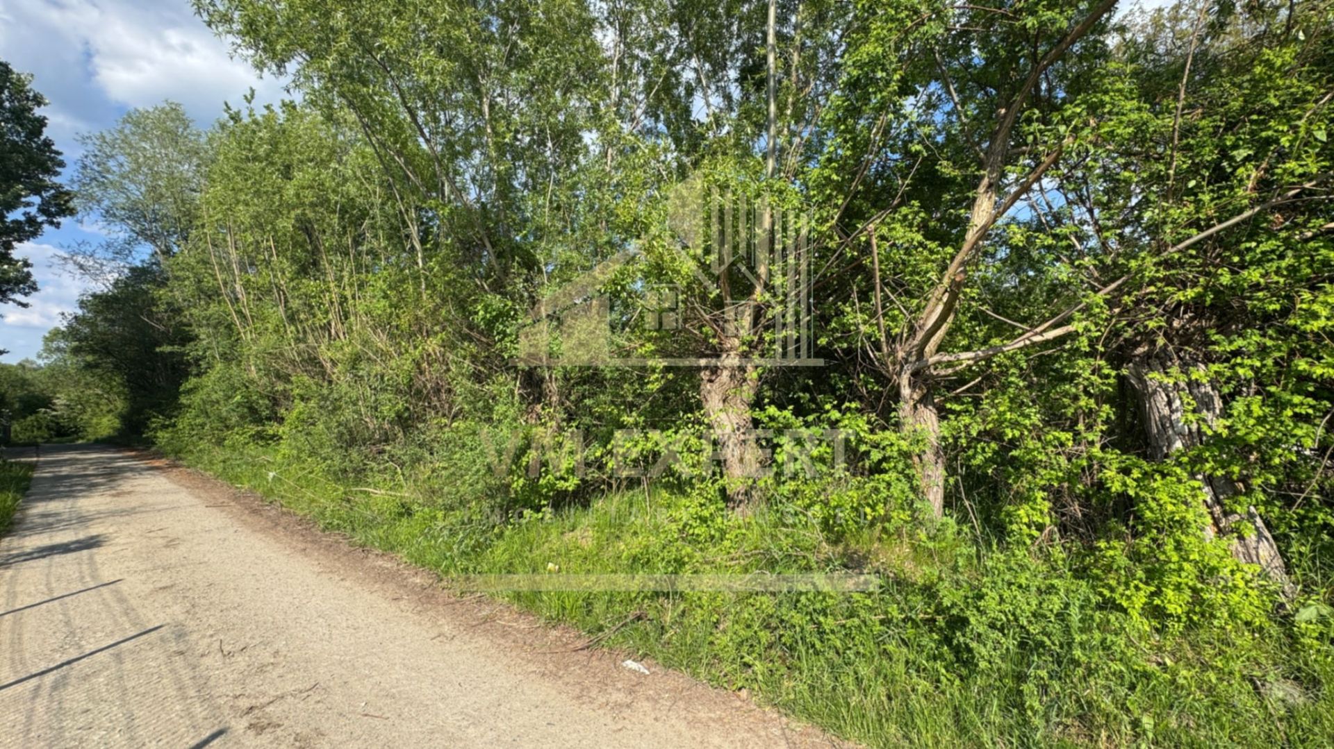 TEREN INTRAVILAN 2943 MP CAMPULUNG - Poză 4