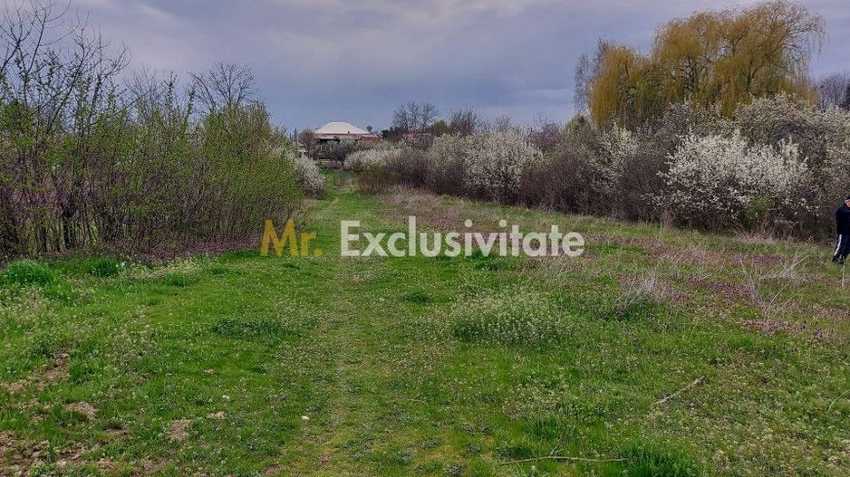 Teren Topoloveni - 3670 mp - langa padure, aproape de Centrul orasului - Poză 1