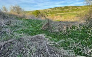 Tren Soporului Intravilan ,5500 MP Utilitati,  Oportunitate - Poză 9