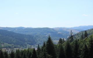 Poiana Sohodol I 5600 MP I Trei corpuri cladiri I Utilitati - Poză 1