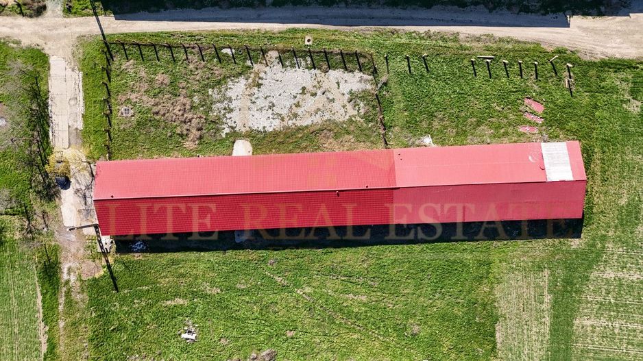 Tariverde - Ferma zootehnica functionala, 3 hectare teren intravilan! - Poză 10