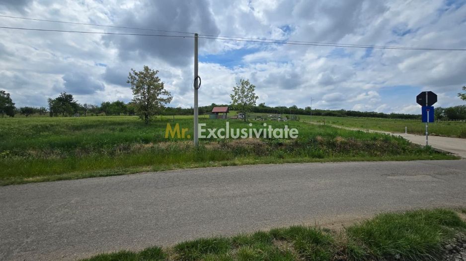 Teren intravilan Ardud Vii Satu Mare - Poză 4