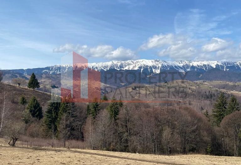 Teren Drumul Carului Moieciu - Poză 5