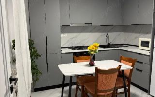 Delfinariu(cod04)-Casa 2 camere de inchiriat - Poză 8