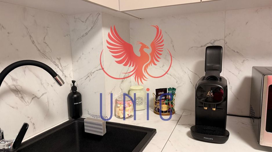 Garsoniera mobilata si utilata, Aristizza Romanescu - Poză 3