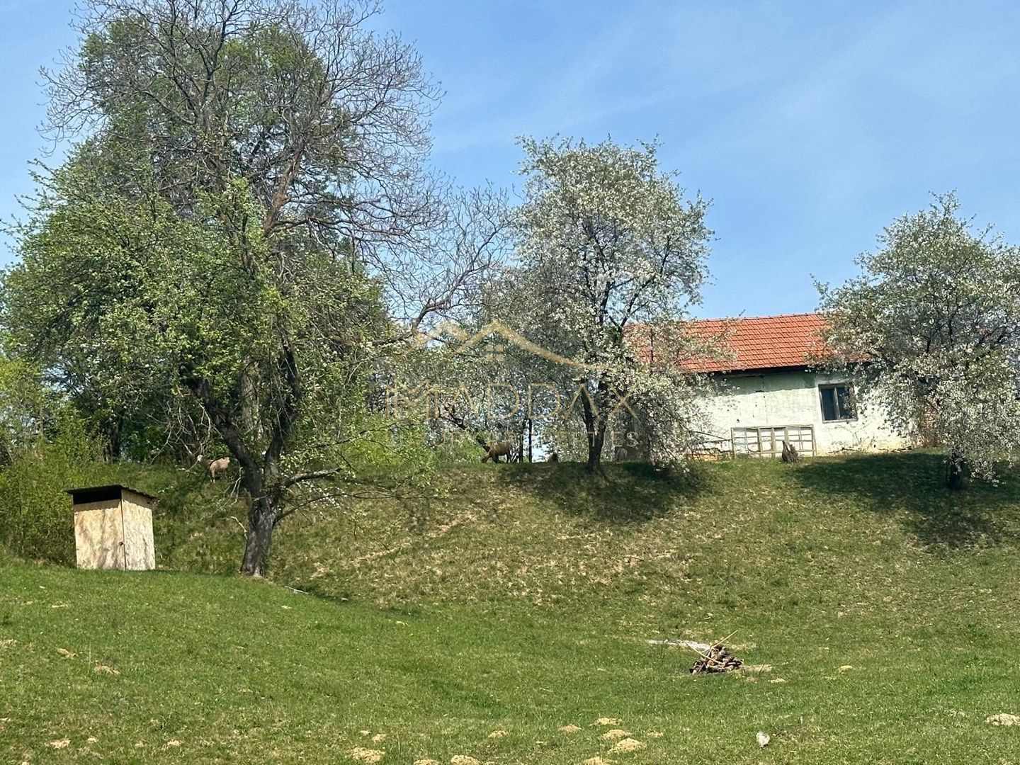 Teren Intravilan**11000 MP**Panorama spectaculoasa**Bran/Brasov - Poză 3