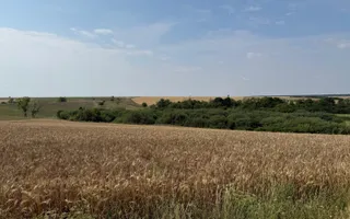 Teren intravilan Miersig, vedere la lac. 12,5 E/mp neg. Comision 0 - Poză 11