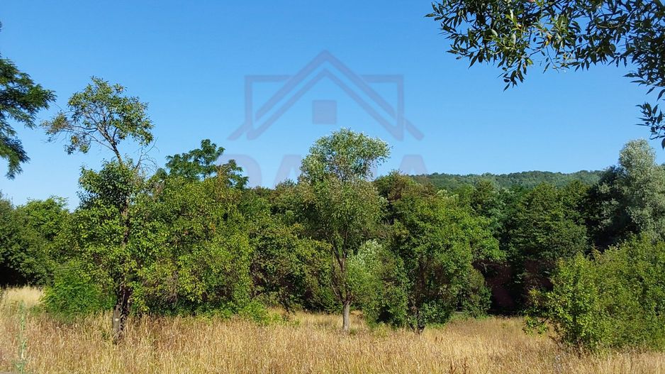 TEREN INTRAVILAN ZĂVOI\ZONA VALEA BISTREI, JUD.C-S - Poză 1