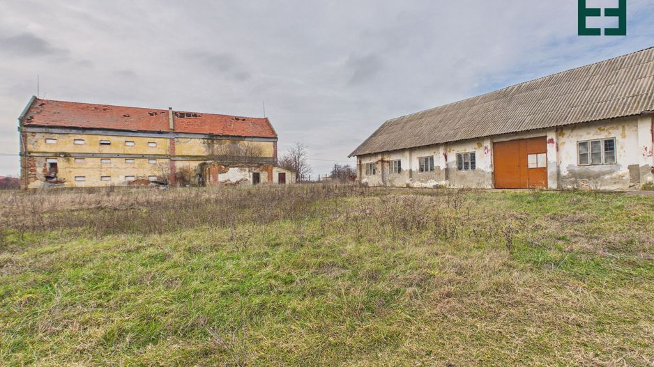 Proprietate industrială + Teren 8.632 - Voiteg - Județul Timiș - Poză 24