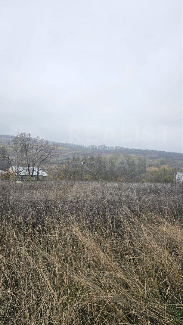 Vânzare, teren pentru construcții,16 ari, str. Padurii, Ivancea - Poză 6