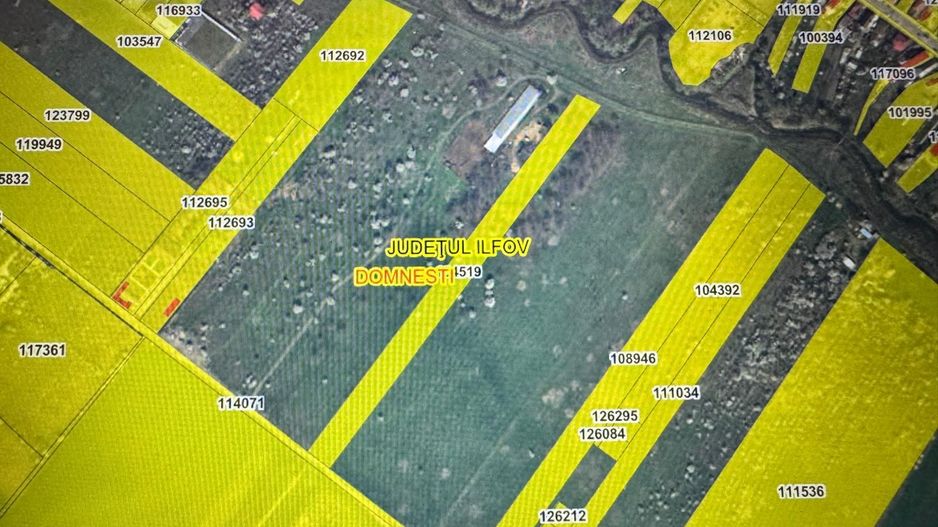 Teren de vanzare 12.700 mp Domnesti Curtea Domneasca - Poză 1