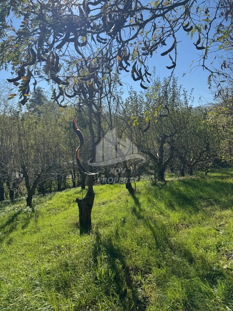 Teren in zona turistica Porumbacu de Sus - Poză 7