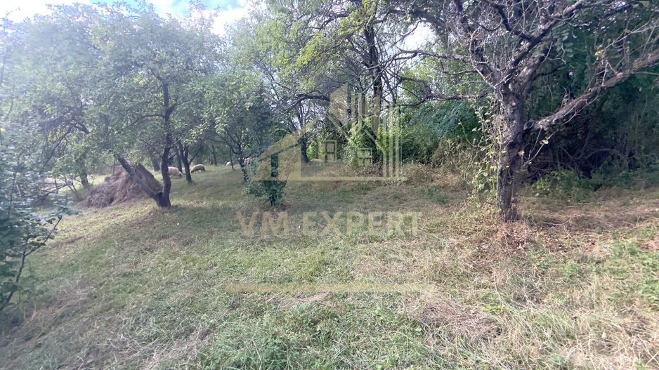 CASA 3 CAMERE TEREN 7770 MP BOTENI ARGEȘ - Poză 19