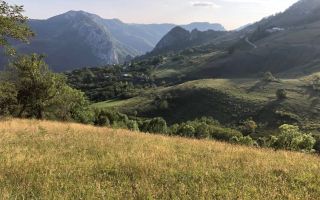 BLACK FRIDAY  I Teren cu potențial turistic I 3174 MP | TransApuseana - Poză 3