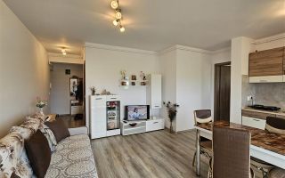 Apartament 2 camere | Balcon | Mobilat si utilat |  Magnolia - Poză 2