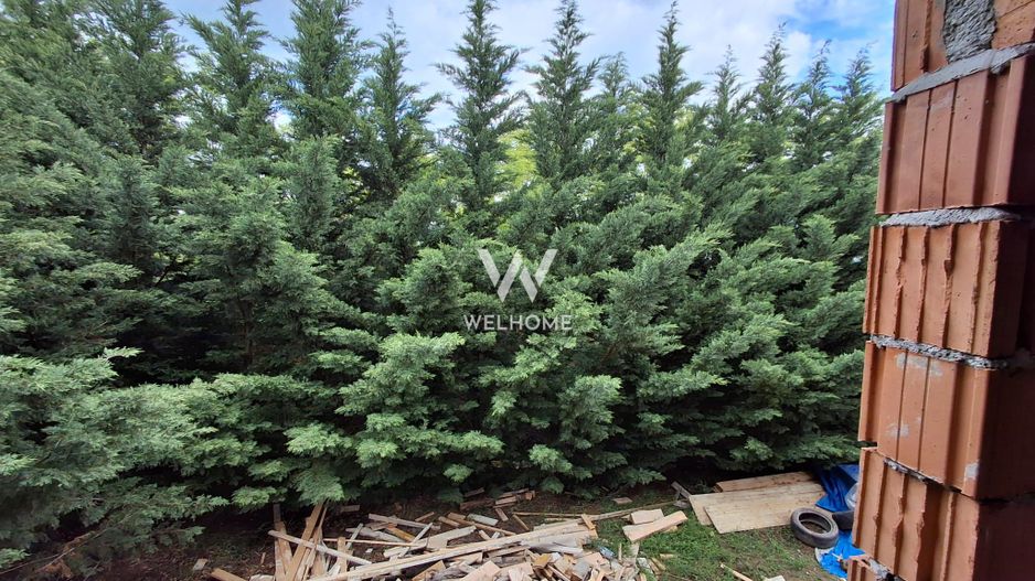 Apartament 3 camere cu gradina – Predare la cheie  Sibiu, Cristian - Poză 1