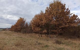 Teren intravilan- 2,025mp oportuitate casa/investitie-Zona Subcetate - Poză 1