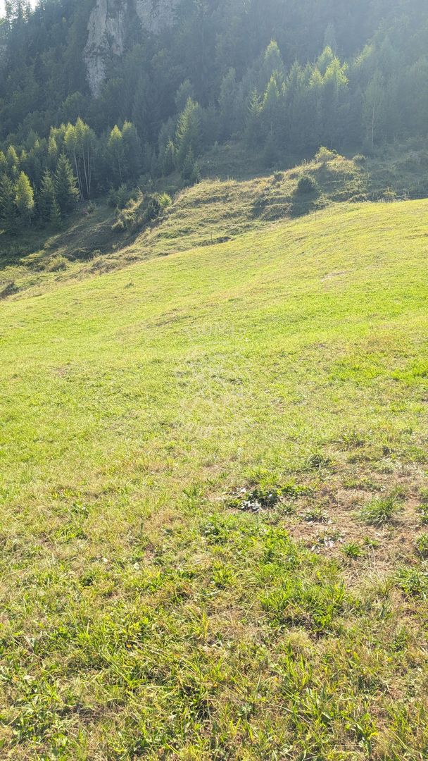 Oportunitate!Teren intravilan 61.38400mp-Parcelabil-utilitati-Colibita - Poză 4