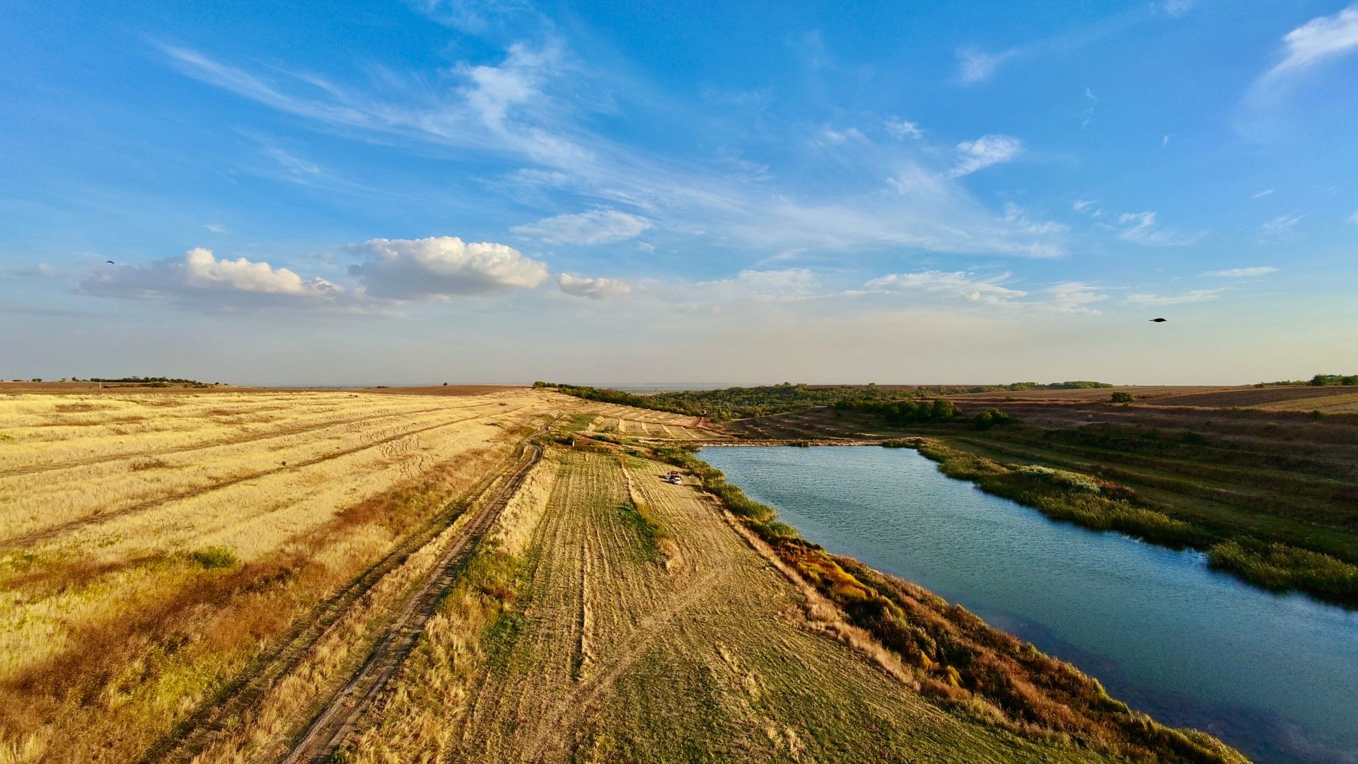 Teren Daia 75000 mp cu balta 30000 mp izvoare - Poză 10