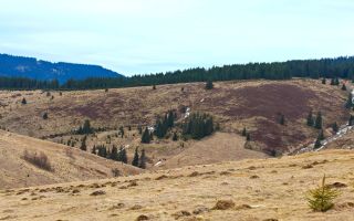 4663mp, in Statiunea Turistica Montana BELIS – FANTANELE, jud. Cluj - Poză 2