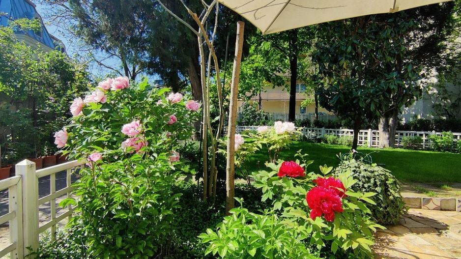 BIJUTERIE ISTORICĂ SI RAR DE VANZARE in zona ARMENEASCA - Poză 30